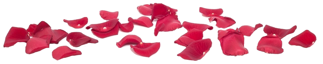 פרי היופי